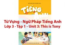 Tiếng Anh Lớp 3 Tập 1 Unit 3 This is tony