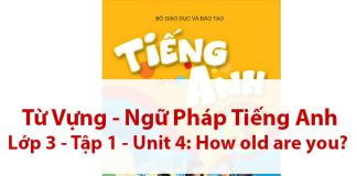 Từ vựng - Ngữ pháp tiếng Anh lớp 3 Unit 4 How old are you